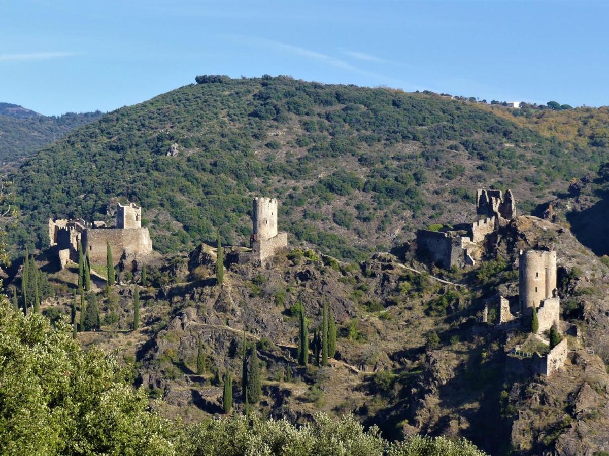 Au Soleil Couchant Villemoustaussou ภายนอก รูปภาพ